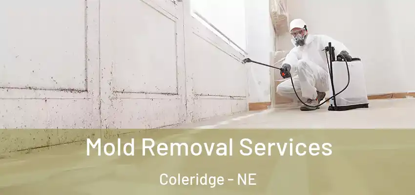  Mold Removal Services Coleridge - NE
