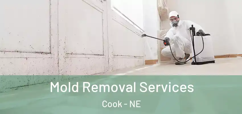  Mold Removal Services Cook - NE
