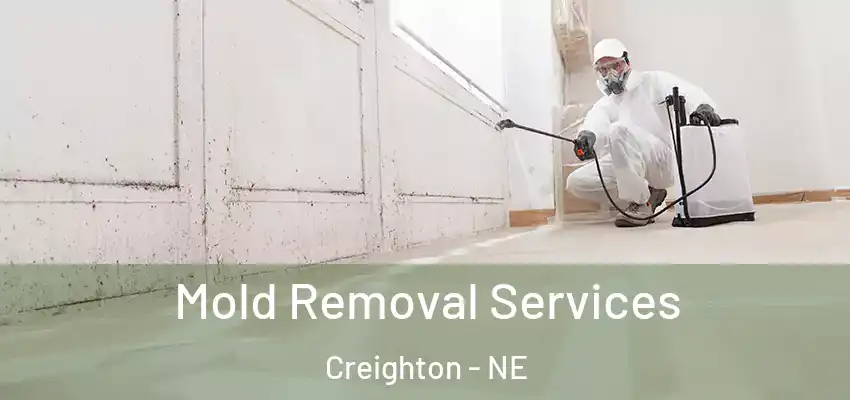  Mold Removal Services Creighton - NE