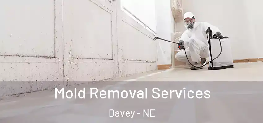  Mold Removal Services Davey - NE