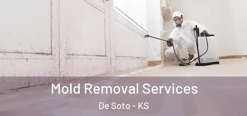  Mold Removal Services De Soto - KS