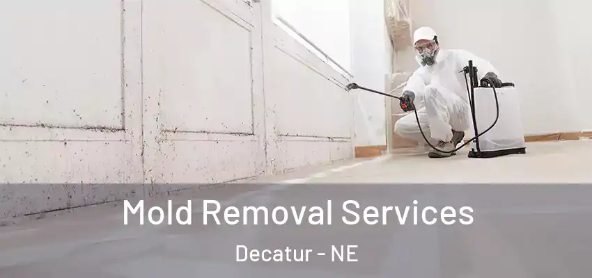  Mold Removal Services Decatur - NE