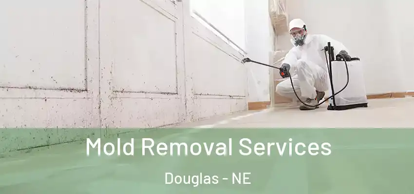 Mold Removal Services Douglas - NE