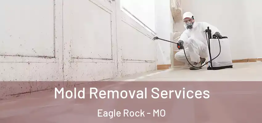  Mold Removal Services Eagle Rock - MO