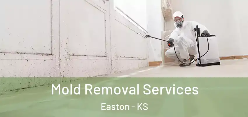  Mold Removal Services Easton - KS