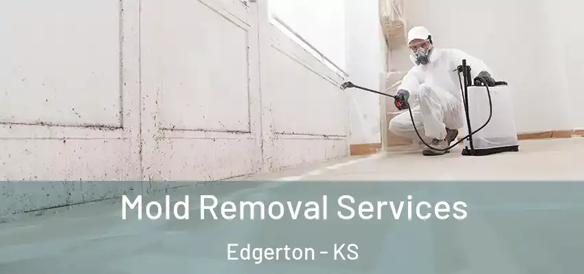  Mold Removal Services Edgerton - KS