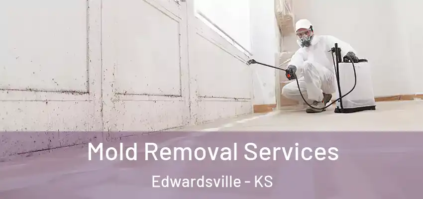  Mold Removal Services Edwardsville - KS