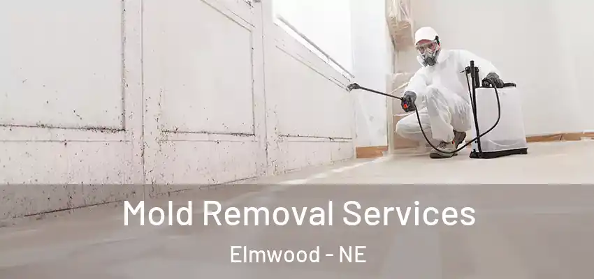  Mold Removal Services Elmwood - NE