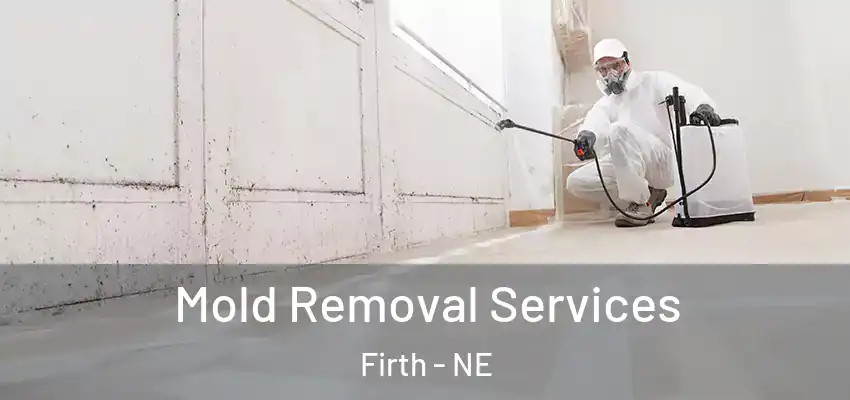  Mold Removal Services Firth - NE