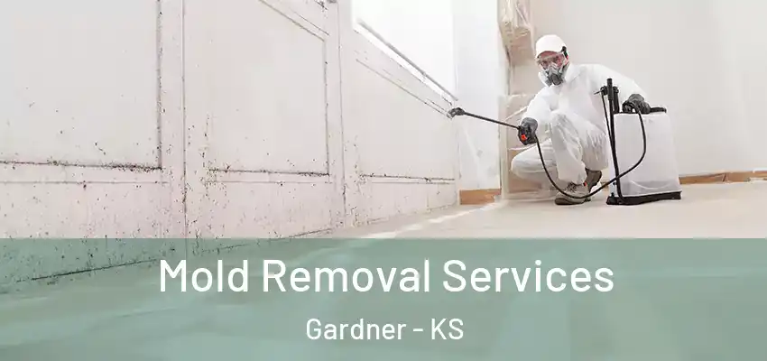  Mold Removal Services Gardner - KS