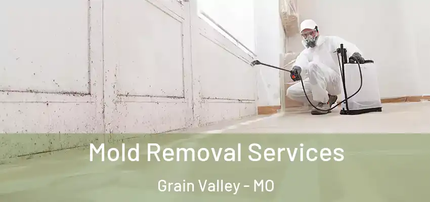  Mold Removal Services Grain Valley - MO