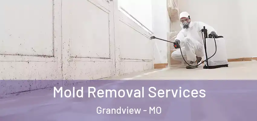Mold Removal Services Grandview - MO