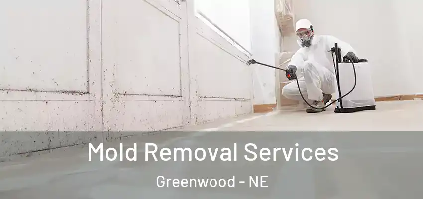  Mold Removal Services Greenwood - NE