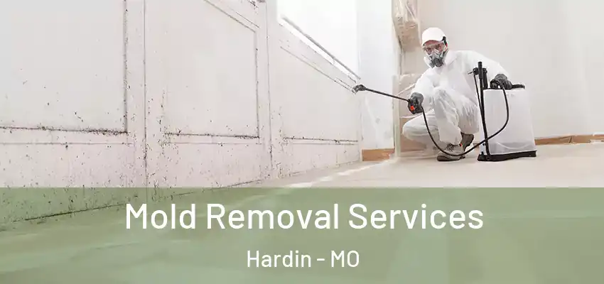 Mold Removal Services Hardin - MO