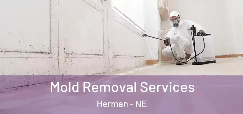  Mold Removal Services Herman - NE