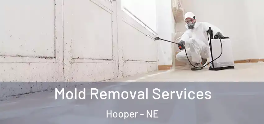  Mold Removal Services Hooper - NE