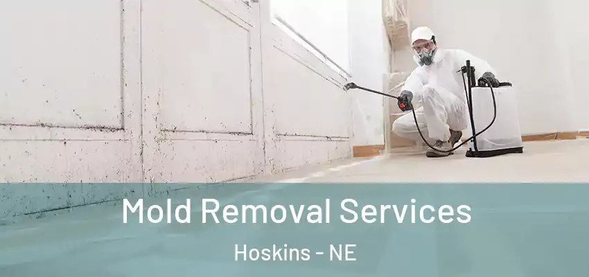 Mold Removal Services Hoskins - NE