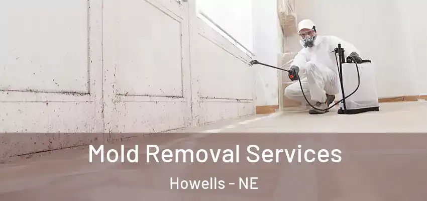Mold Removal Services Howells - NE