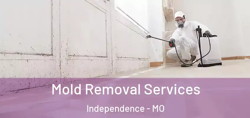 Mold Removal Services Independence - MO