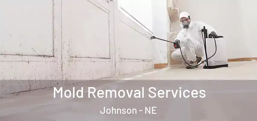 Mold Removal Services Johnson - NE