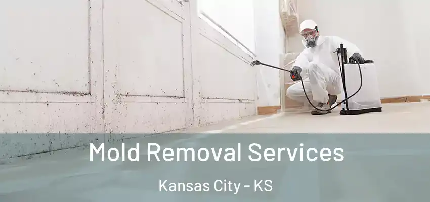 Mold Removal Services Kansas City - KS
