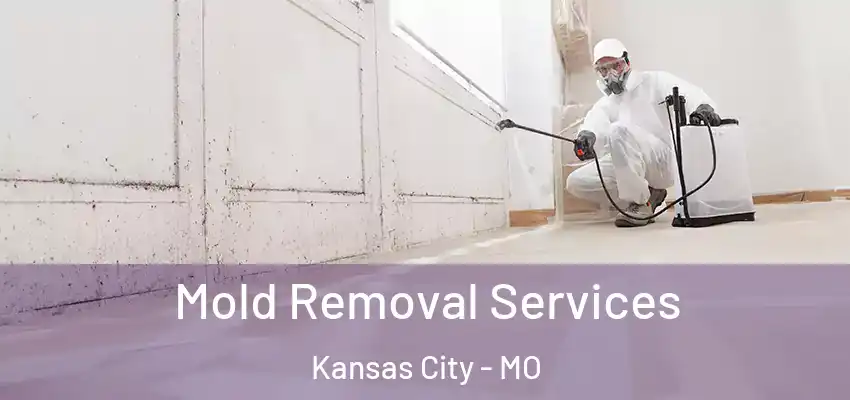  Mold Removal Services Kansas City - MO