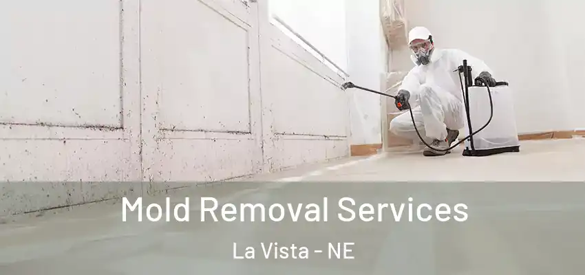  Mold Removal Services La Vista - NE