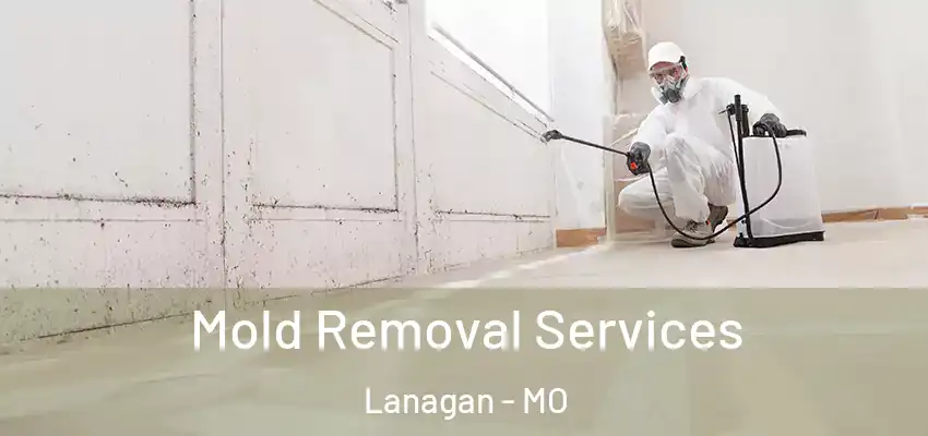 Mold Removal Services Lanagan - MO