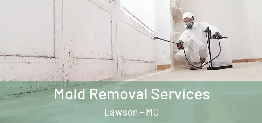  Mold Removal Services Lawson - MO