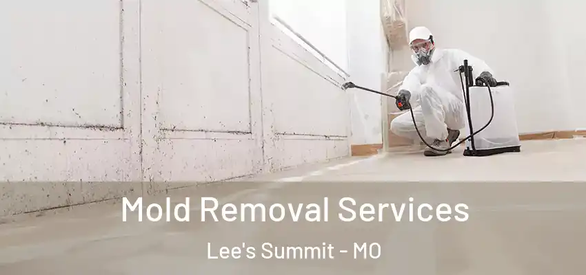 Mold Removal Services Lee's Summit - MO