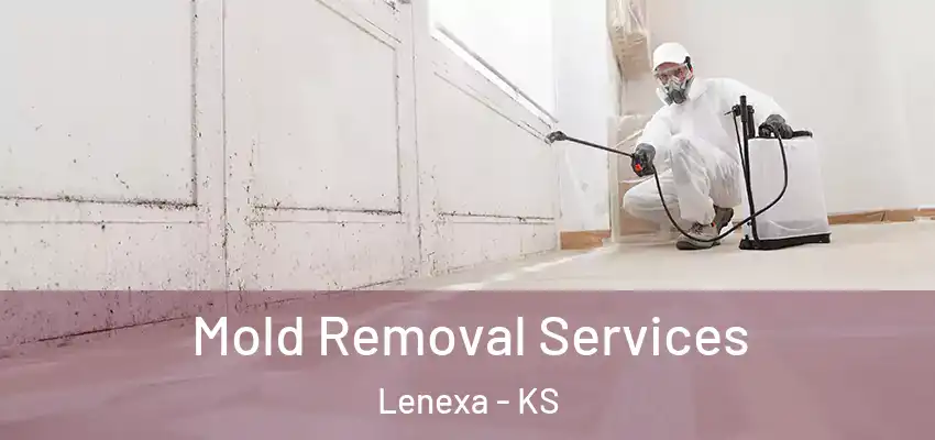  Mold Removal Services Lenexa - KS