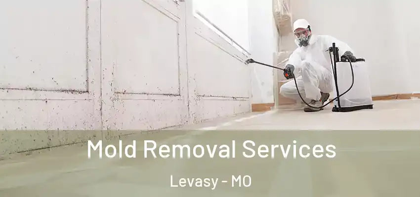  Mold Removal Services Levasy - MO