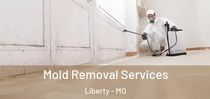 Mold Removal Services Liberty - MO