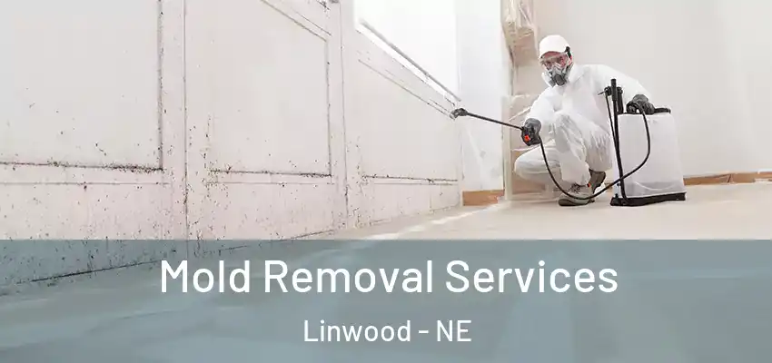  Mold Removal Services Linwood - NE