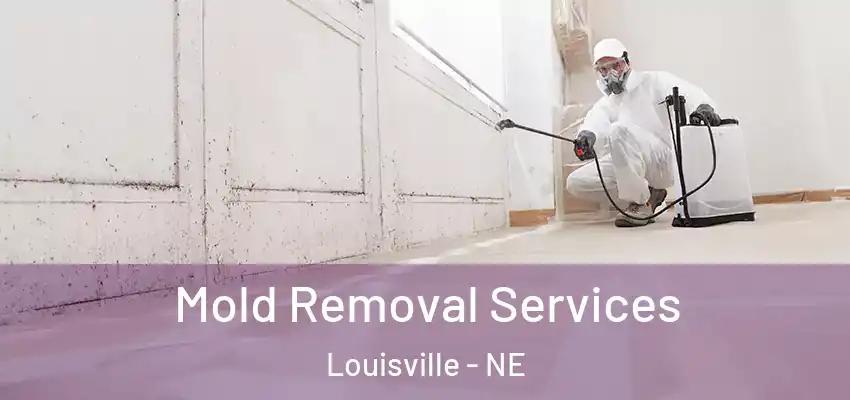  Mold Removal Services Louisville - NE
