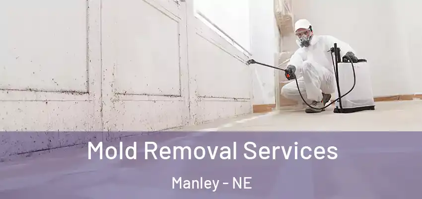  Mold Removal Services Manley - NE