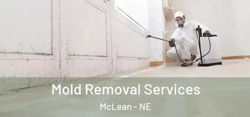  Mold Removal Services McLean - NE