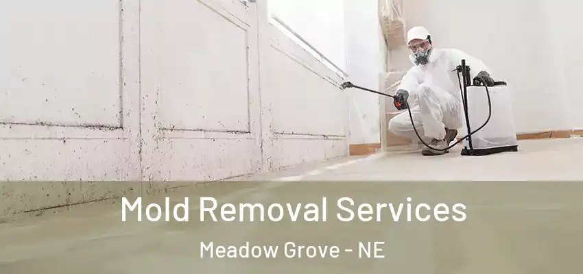  Mold Removal Services Meadow Grove - NE