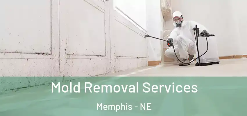 Mold Removal Services Memphis - NE