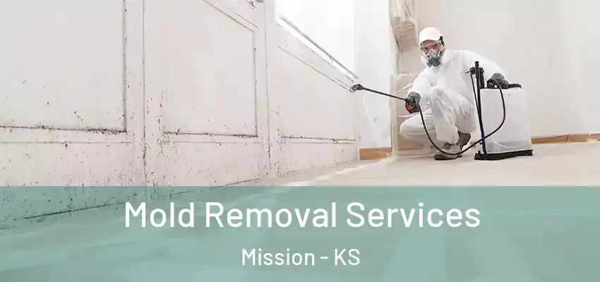  Mold Removal Services Mission - KS