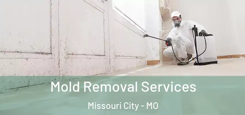  Mold Removal Services Missouri City - MO
