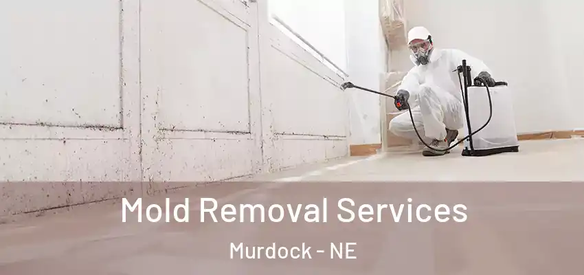 Mold Removal Services Murdock - NE
