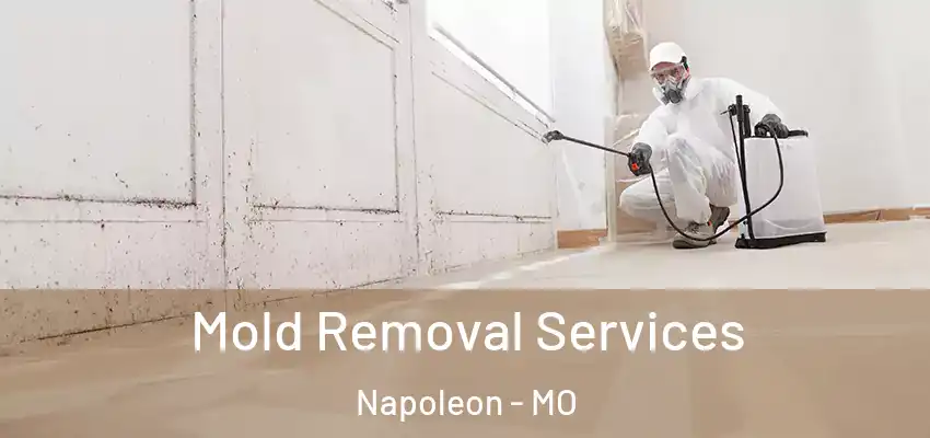  Mold Removal Services Napoleon - MO