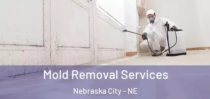  Mold Removal Services Nebraska City - NE