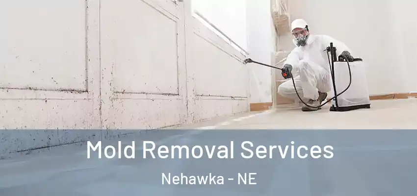  Mold Removal Services Nehawka - NE