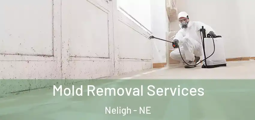 Mold Removal Services Neligh - NE