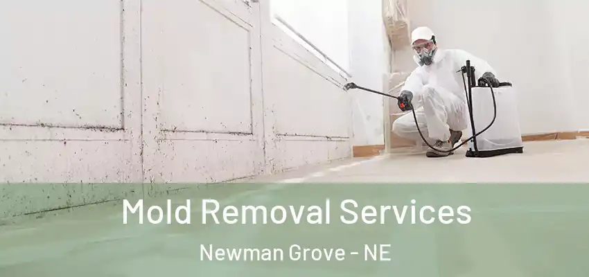  Mold Removal Services Newman Grove - NE