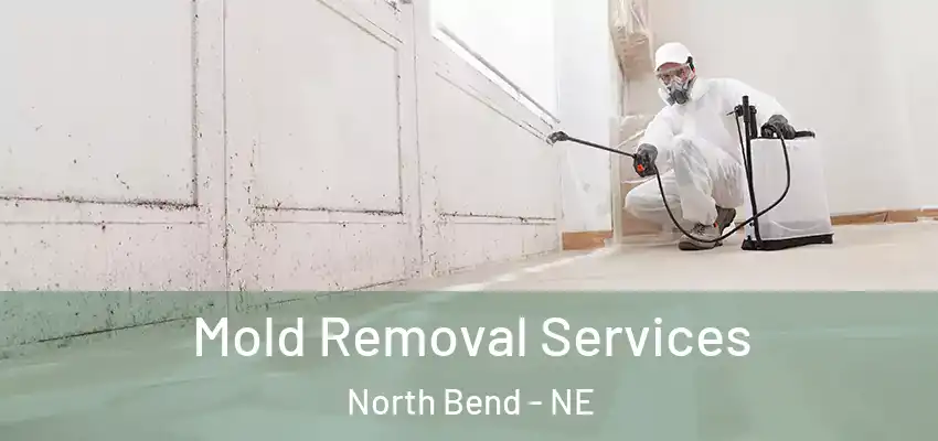  Mold Removal Services North Bend - NE