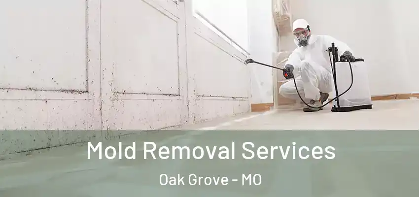  Mold Removal Services Oak Grove - MO