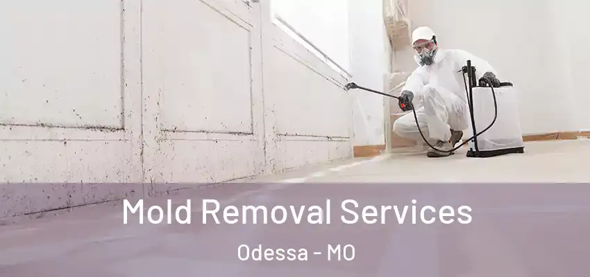  Mold Removal Services Odessa - MO